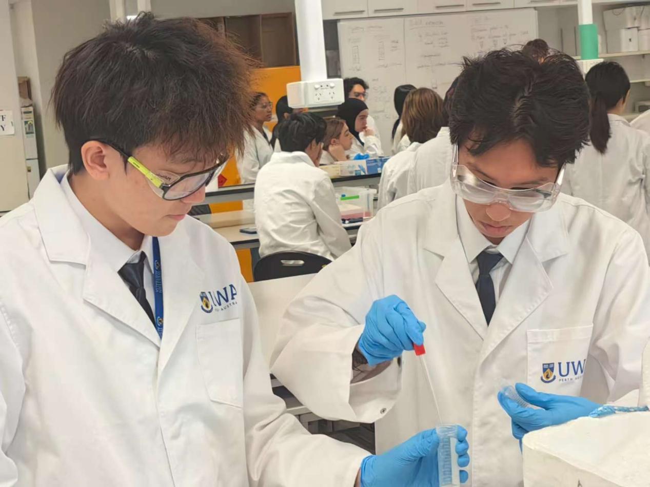 微信图片_2025-08-11_225711_931